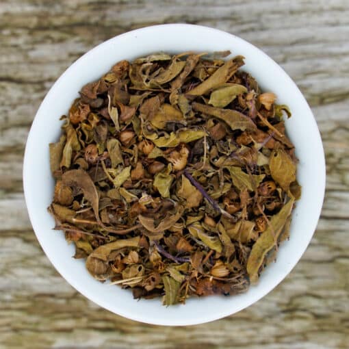 Bio Kräutertee Tulsikraut