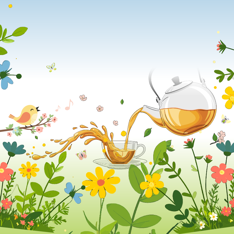 Bio-Tee kaufen - Teekultur Halle